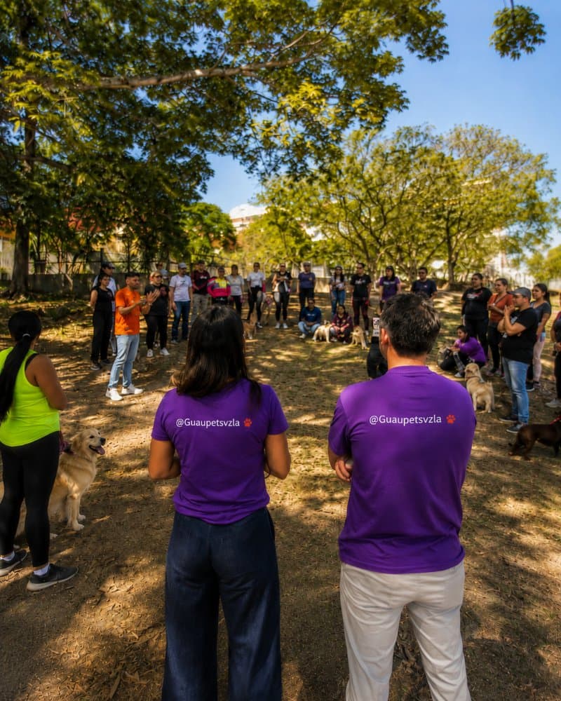 reunion en parque