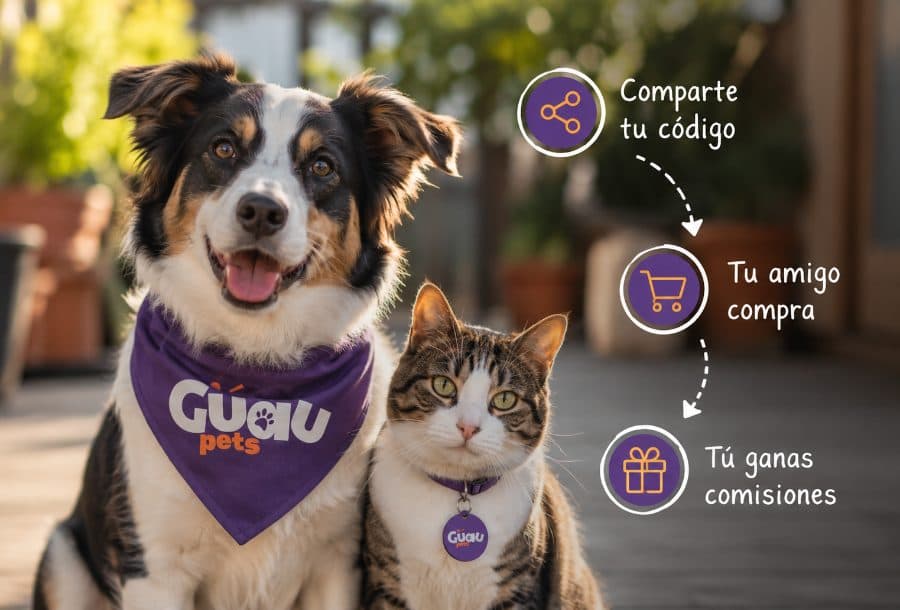 perro embajador