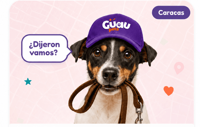 Perro con gorra