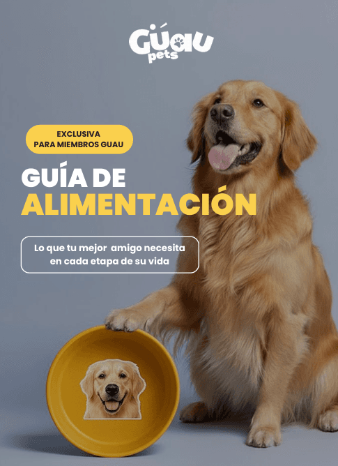 Portada de Guía de alimentación
