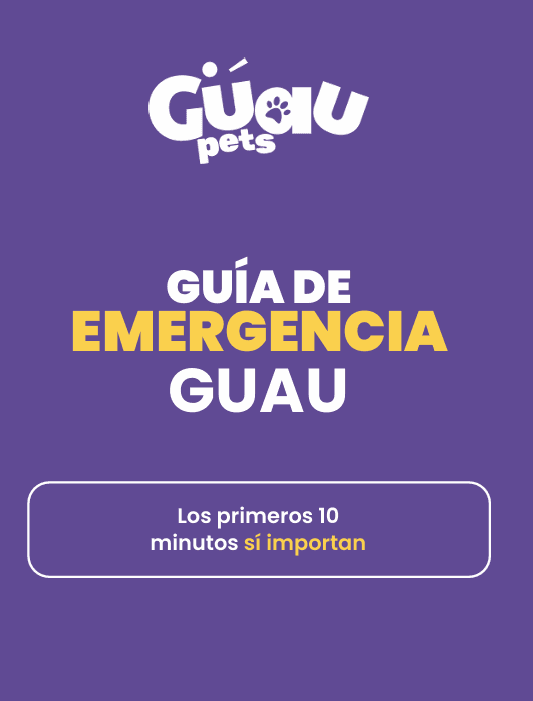 Portada de Guía de emergencia Guau