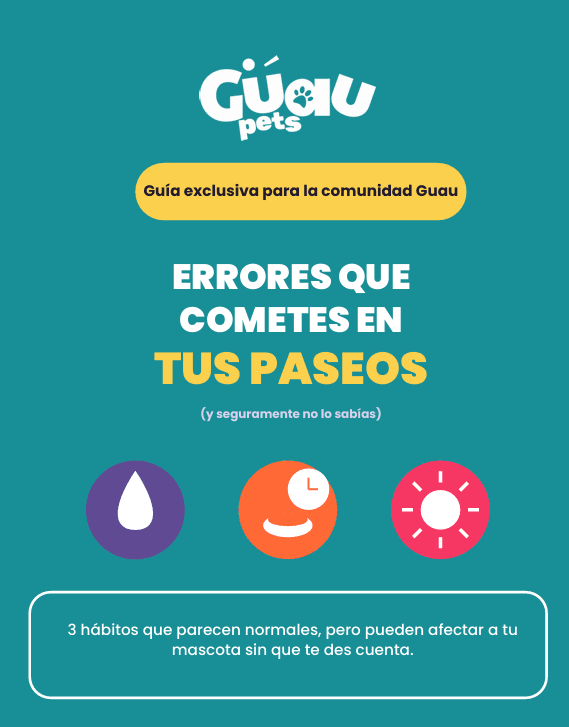 Portada de Errores que cometes en tus paseos